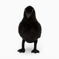 Black Halloween Decorative Raven Plush My Plushie