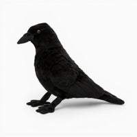 Black Halloween Decorative Raven Plush My Plushie