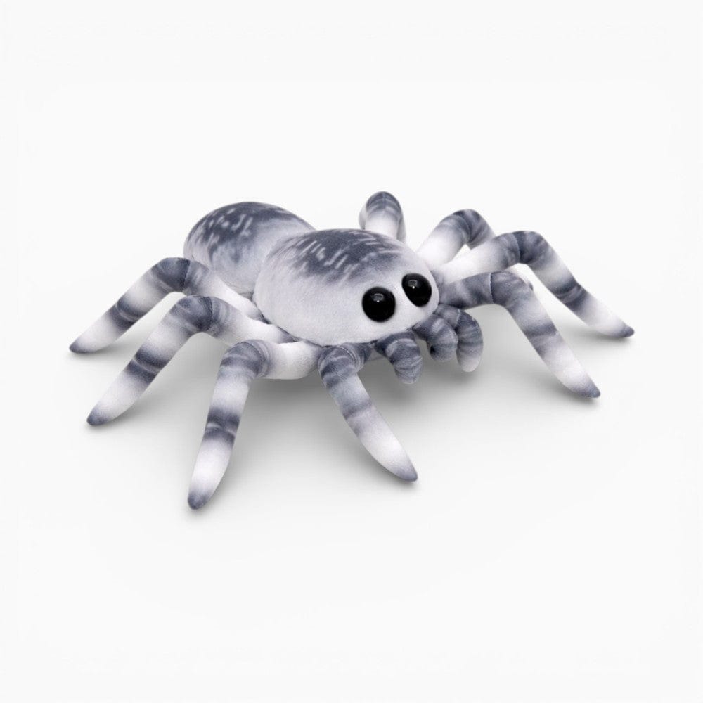 Colourful Soft Decoration Spider Plush My Plushie