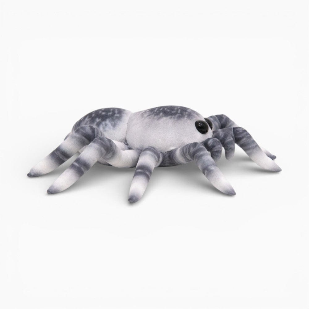 Colourful Soft Decoration Spider Plush My Plushie