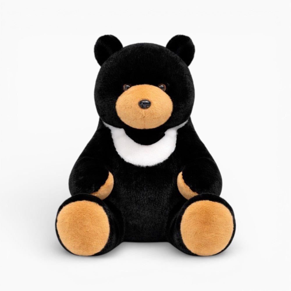 Large Black Teddy Bear My Plushie