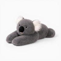 Long Koala Plush for Kids My Plushie