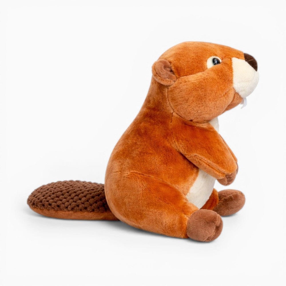 Realistic Beaver Plush My Plushie