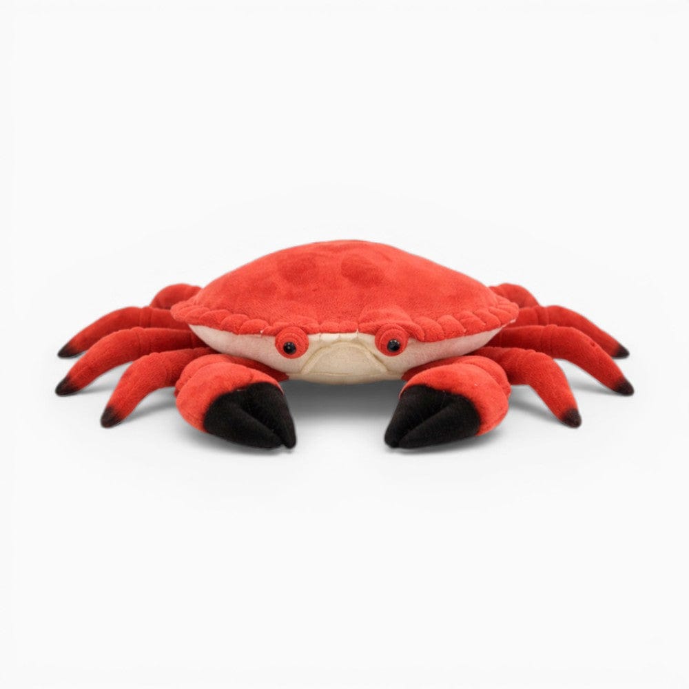 Realistic Crab Soft Toy My Plushie