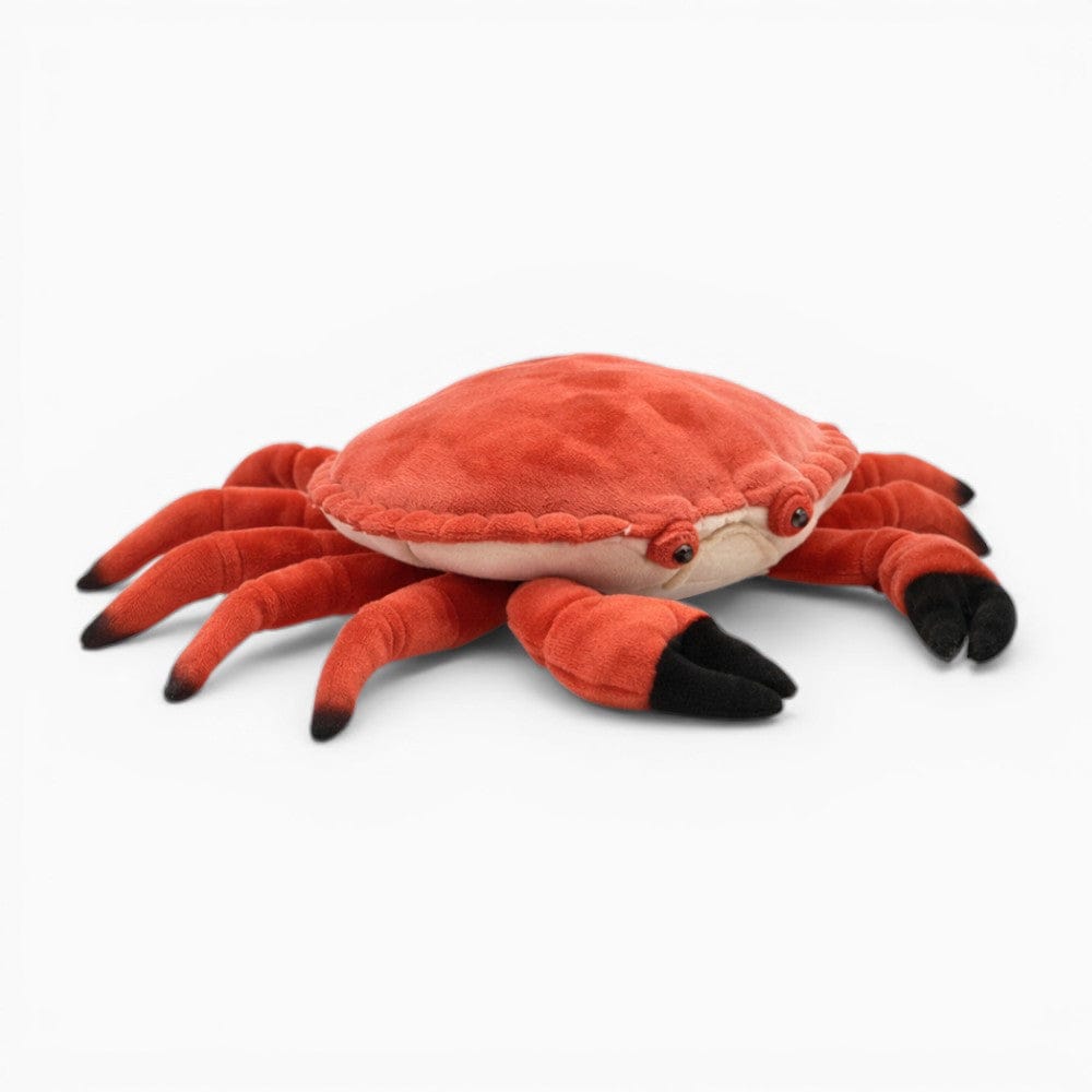 Realistic Crab Soft Toy My Plushie