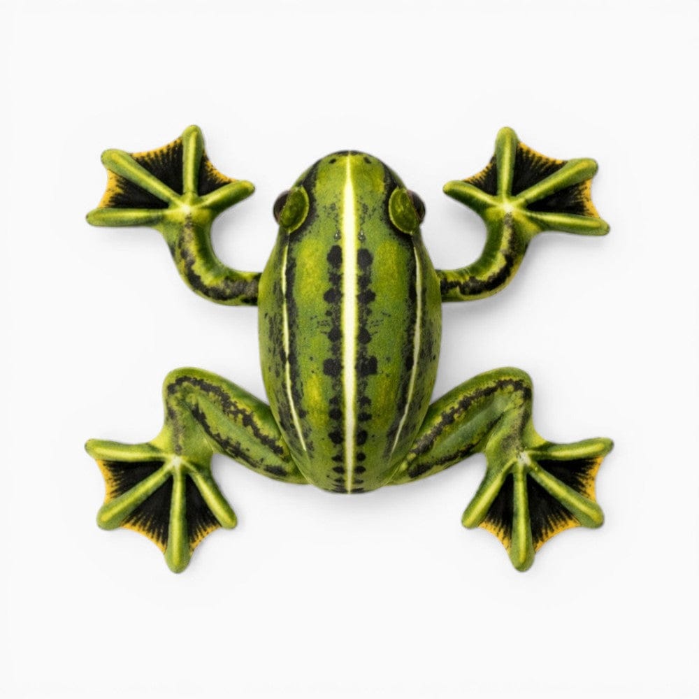 Realistic Green Yellow Soft Frog Plush My Plushie