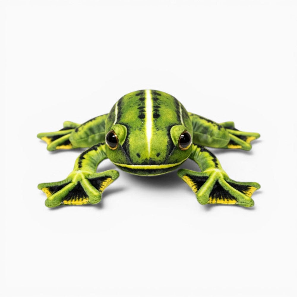 Realistic Green Yellow Soft Frog Plush My Plushie