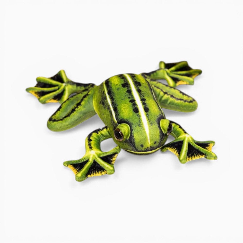 Realistic Green Yellow Soft Frog Plush My Plushie