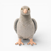 Realistic Grey Dove Plush My Plushie