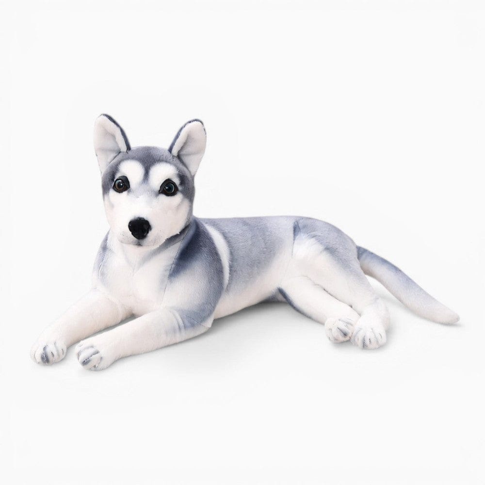 Realistic Lying Husky Plush My Plushie