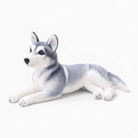 Realistic Lying Husky Plush My Plushie