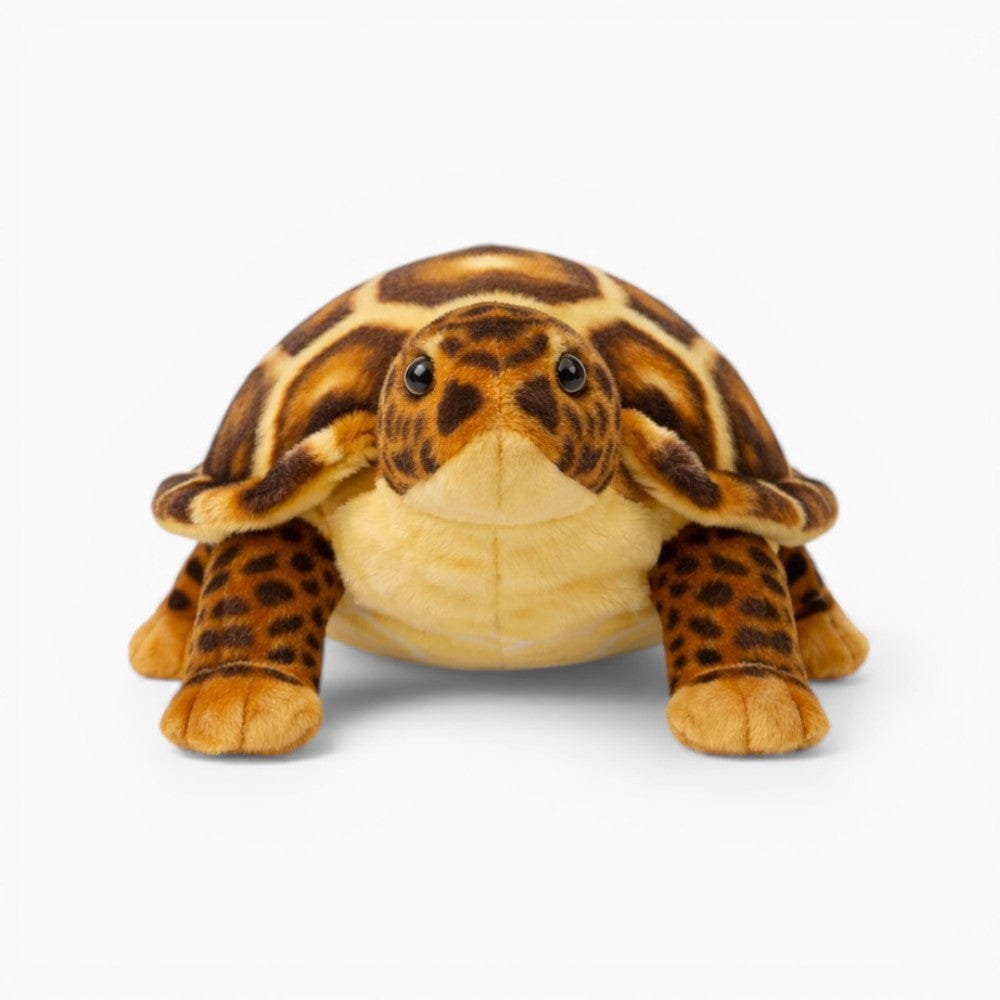 Realistic Sea Turtle Plush My Plushie