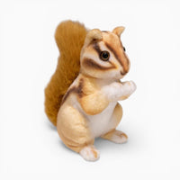 Realistic Squirrel Plush with Bushy Tail My Plushie
