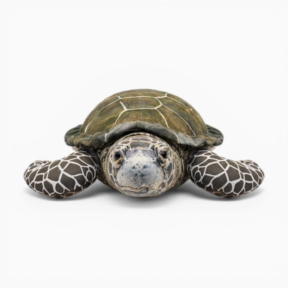 Sea Turtle Plush My Plushie