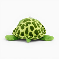 Turtle Plush with Large Eyes My Plushie