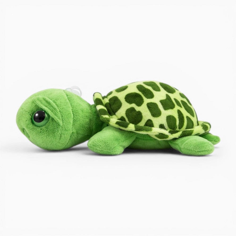 Turtle Plush with Large Eyes My Plushie
