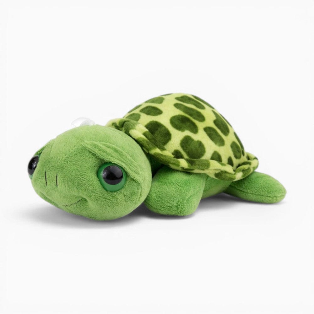 Turtle Plush with Large Eyes My Plushie